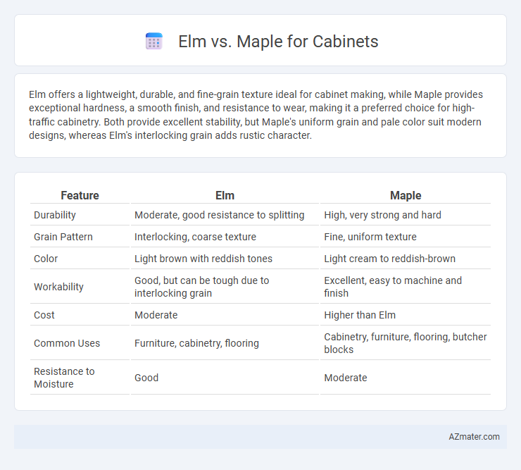 Elm vs. Maple for Cabinets - What is The Difference?