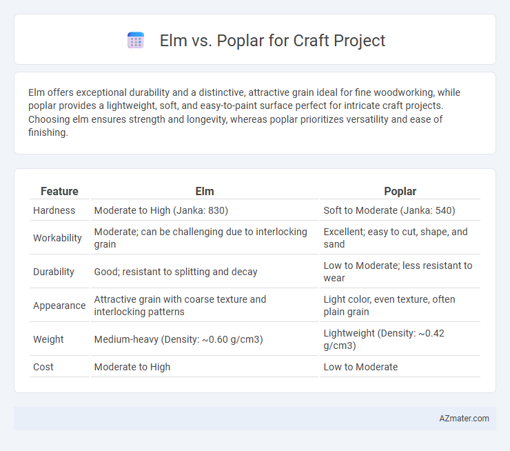 Elm vs. Poplar for Craft Project - What is The Difference?