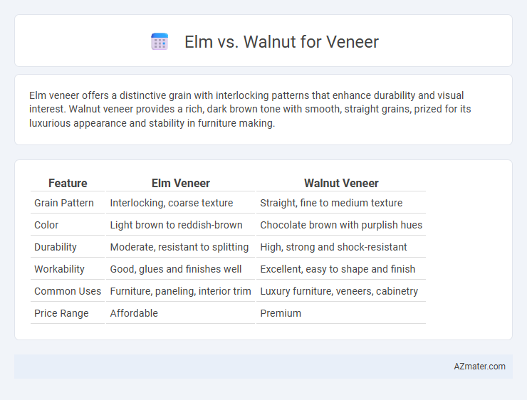 Elm vs. Walnut for Veneer - What is The Difference?