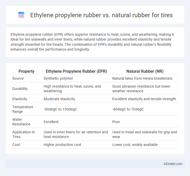 Ethylene propylene rubber vs. natural rubber for tires - What is The Difference?
