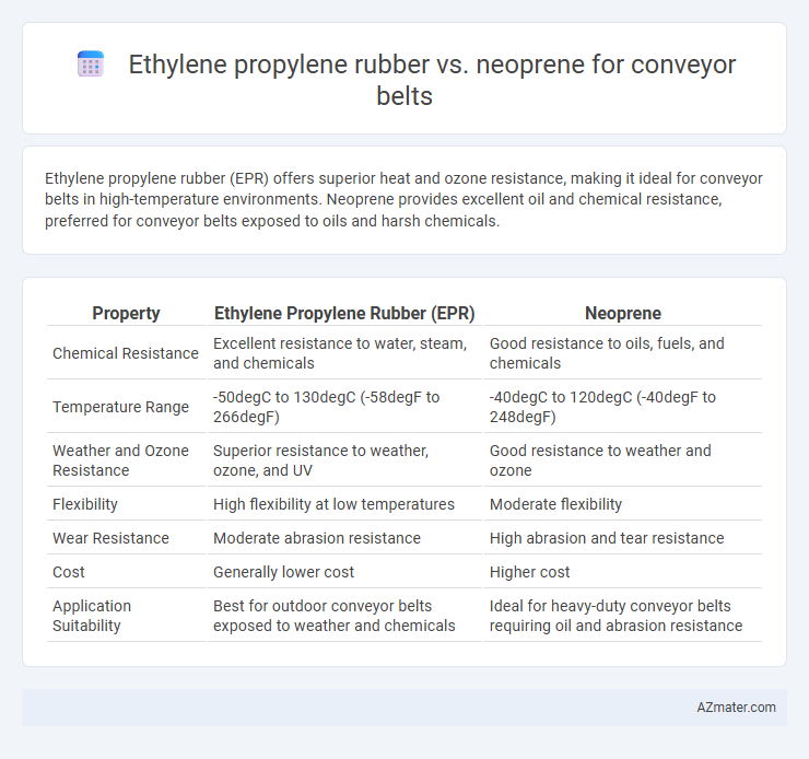 Ethylene propylene rubber vs. neoprene for conveyor belts - What is The Difference?