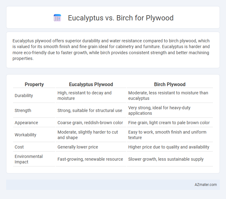 Eucalyptus vs. Birch for Plywood - What is The Difference?