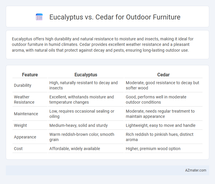 Eucalyptus vs. Cedar for Outdoor Furniture - What is The Difference?