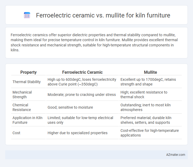 Ferroelectric ceramic vs. mullite for kiln furniture - What is The Difference?