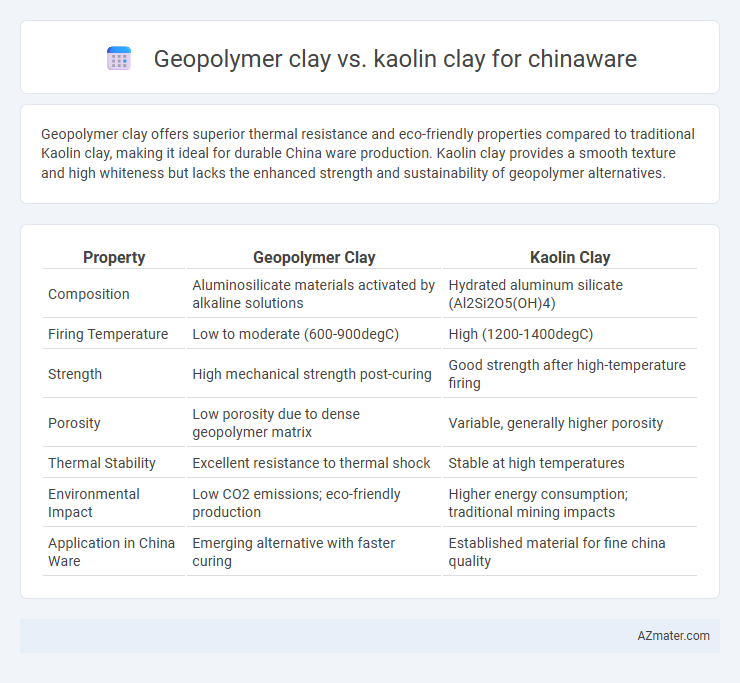 Geopolymer clay vs. kaolin clay for chinaware - What is The Difference?