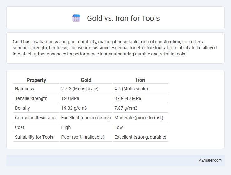 Gold vs. Iron for Tools - What is The Difference?