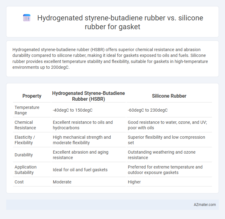 Hydrogenated styrene-butadiene rubber vs. silicone rubber for gasket - What is The Difference?