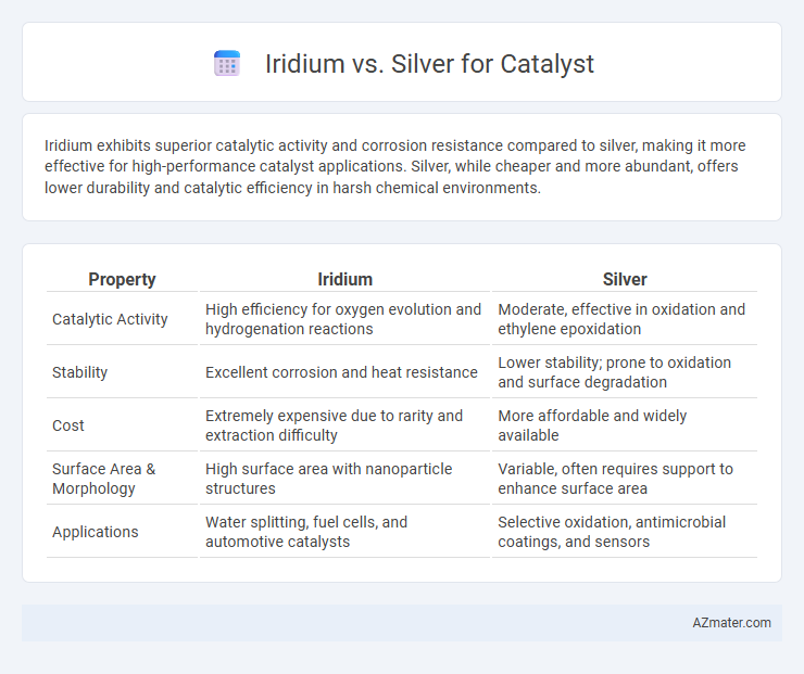 Iridium vs. Silver for Catalyst - What is The Difference?