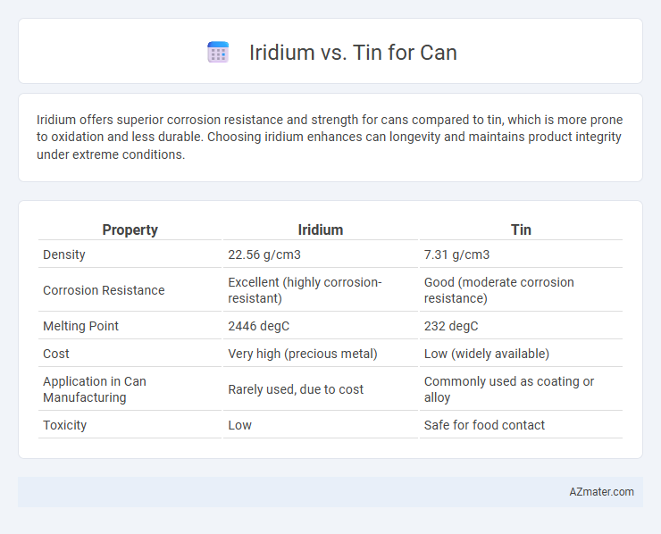 Iridium vs. Tin for Can - What is The Difference?