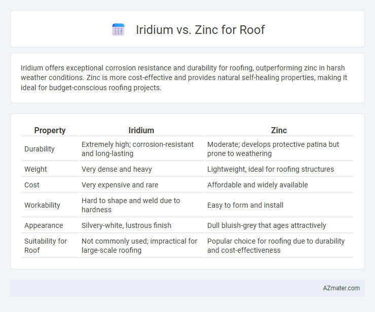 Iridium vs. Zinc for Roof - What is The Difference?