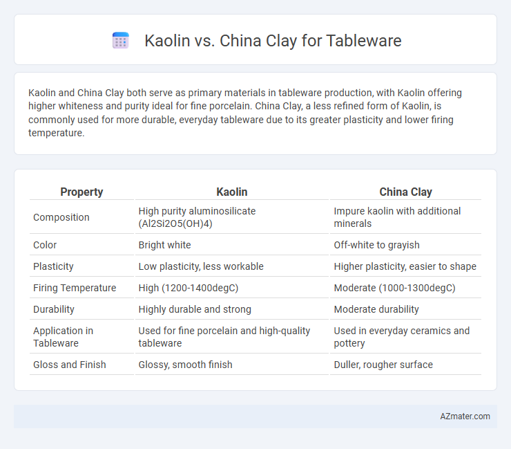 Kaolin vs. China Clay for Tableware - What is The Difference?