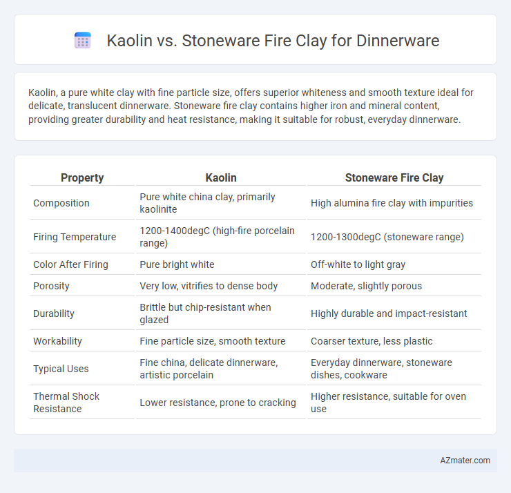 Kaolin vs. Stoneware Fire Clay for Dinnerware - What is The Difference?