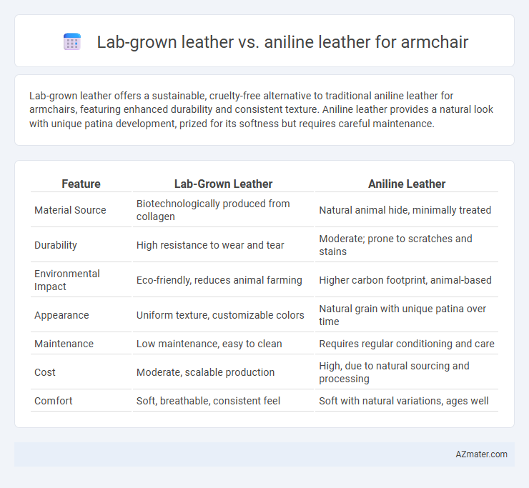 Lab-grown leather vs. aniline leather for armchair - What is The Difference?