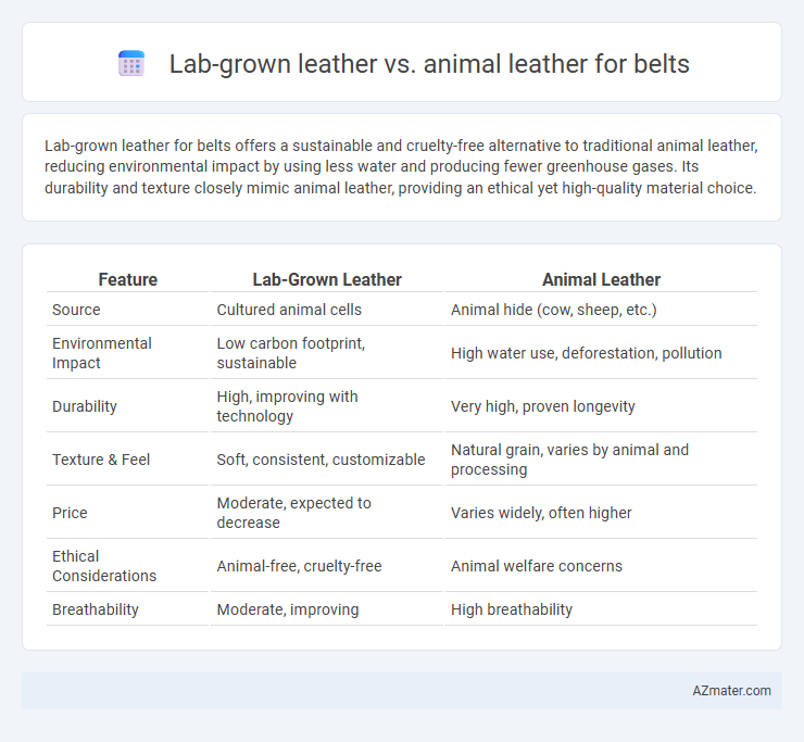 Lab-grown leather vs. animal leather for belts - What is The Difference?