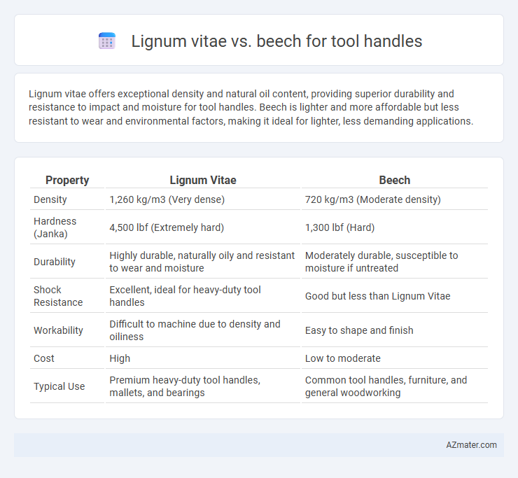 Lignum vitae vs. beech for tool handles - What is The Difference?