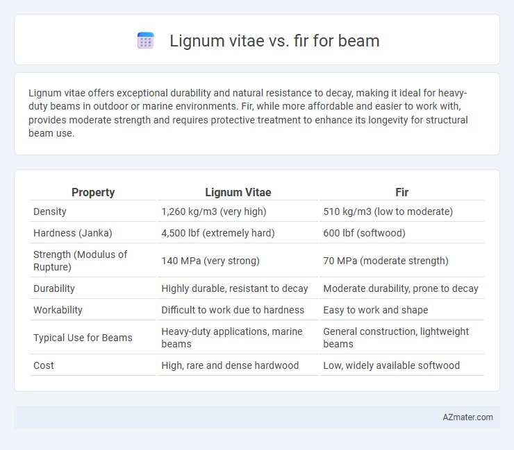 Lignum vitae vs. fir for beam - What is The Difference?