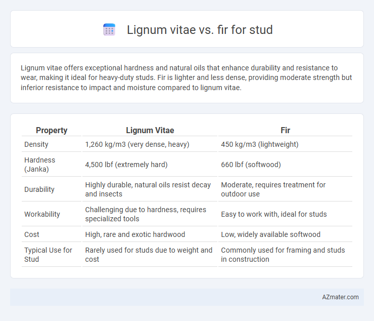 Lignum vitae vs. fir for stud - What is The Difference?