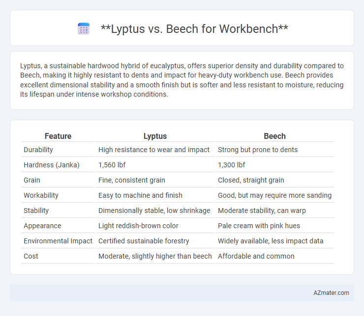 Lyptus vs. Beech for Workbench - What is The Difference?