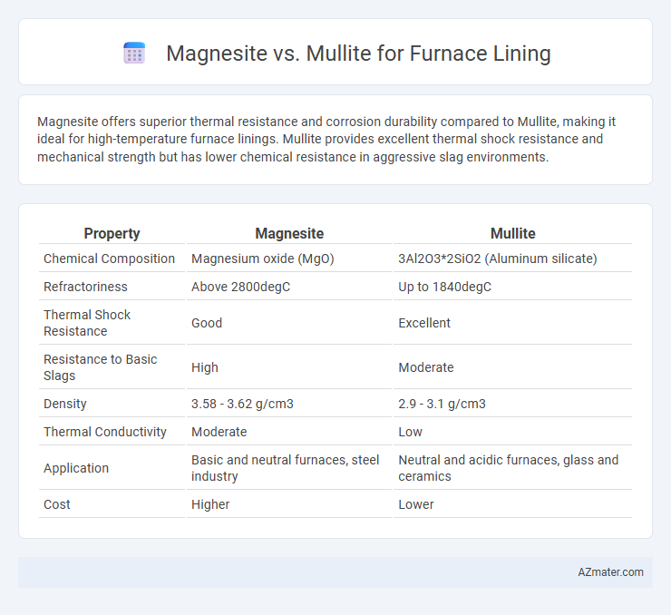 Magnesite vs. Mullite for Furnace Lining - What is The Difference?