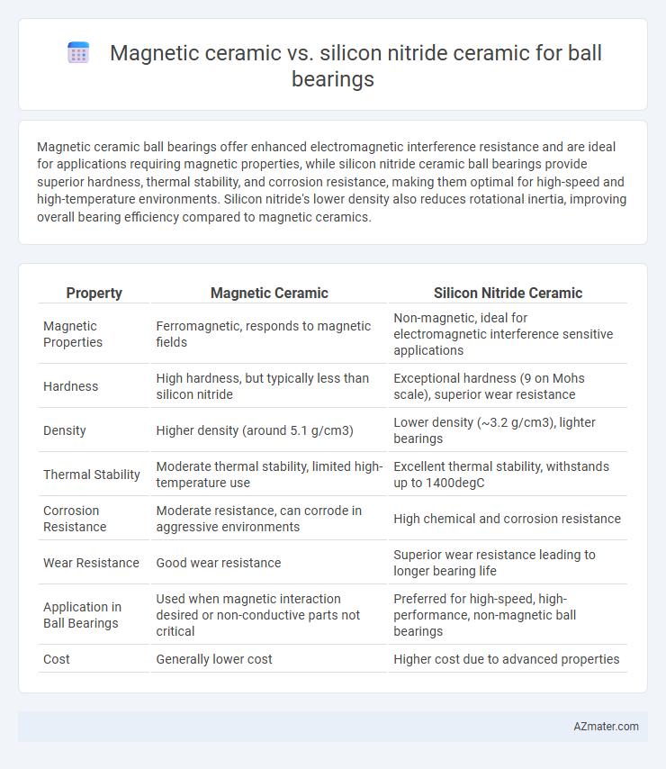 Magnetic ceramic vs. silicon nitride ceramic for ball bearings - What is The Difference?