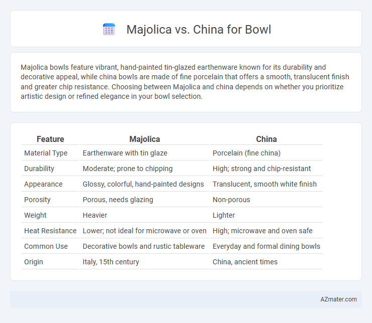 Majolica vs. China for Bowl - What is The Difference?