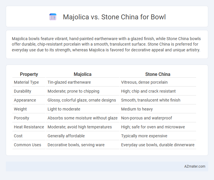 Majolica vs. Stone China for Bowl - What is The Difference?