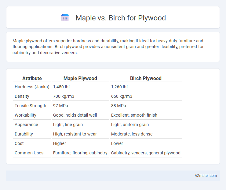 Maple vs. Birch for Plywood - What is The Difference?