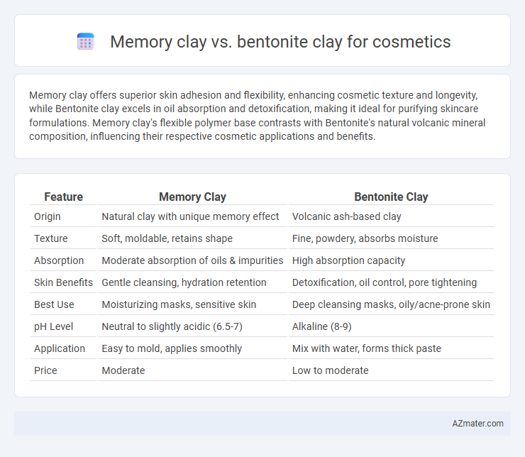 Memory clay vs. bentonite clay for cosmetics - What is The Difference?