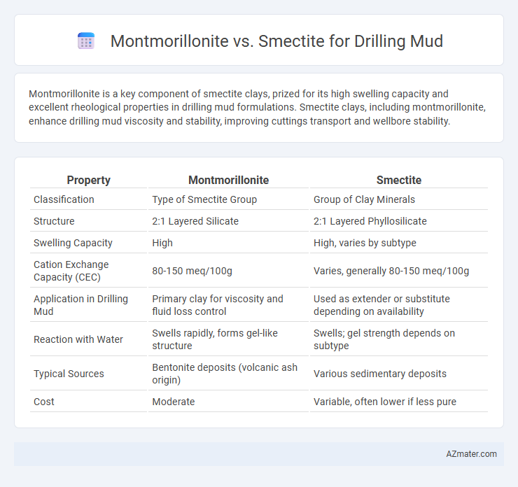 Montmorillonite vs. Smectite for Drilling Mud - What is The Difference?