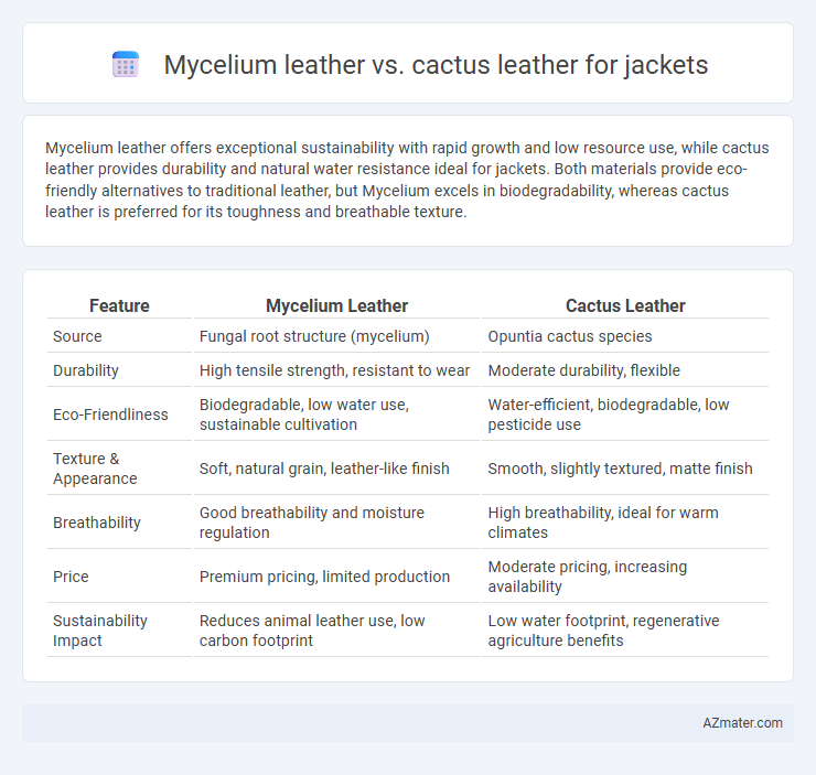 Mycelium leather vs. cactus leather for jackets - What is The Difference?
