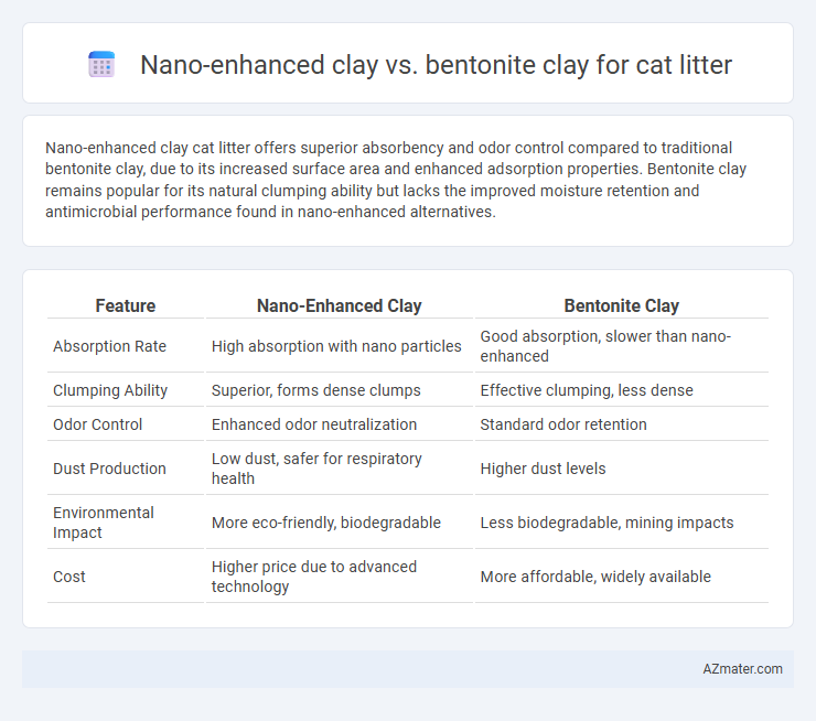 Nano-enhanced clay vs. bentonite clay for cat litter - What is The Difference?