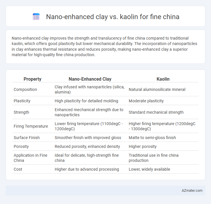 Nano-enhanced clay vs. kaolin for fine china - What is The Difference?