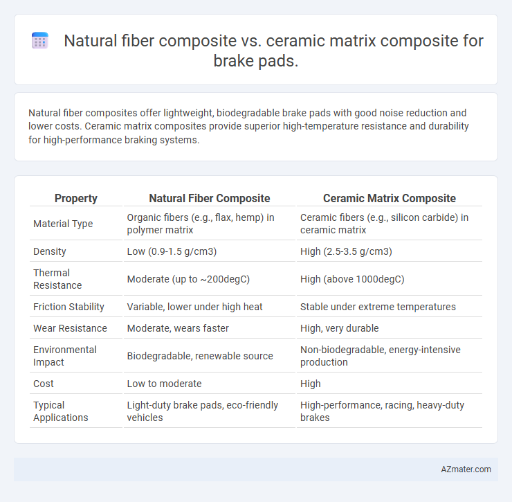 Natural fiber composite vs. ceramic matrix composite for brake pads. - What is The Difference?