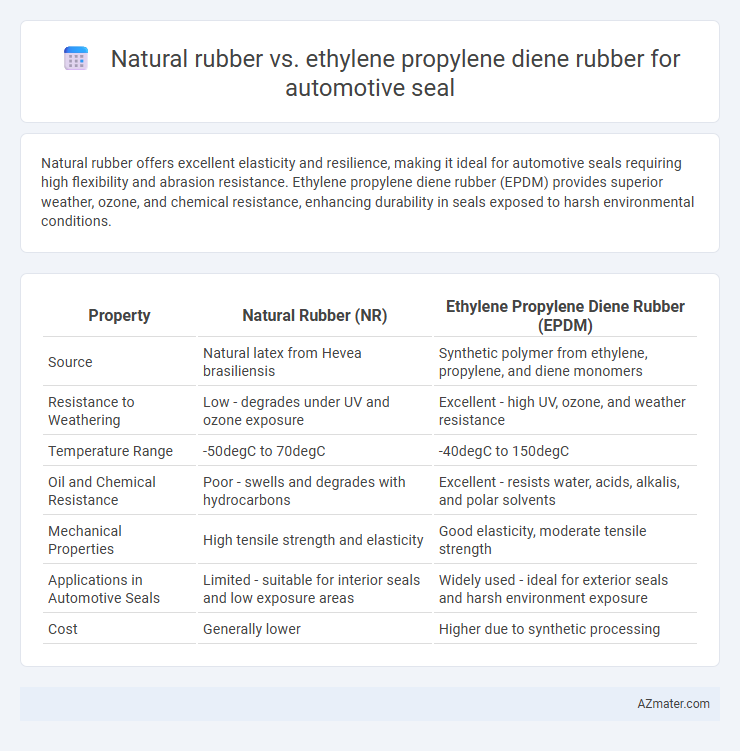 Natural rubber vs. ethylene propylene diene rubber for automotive seal - What is The Difference?