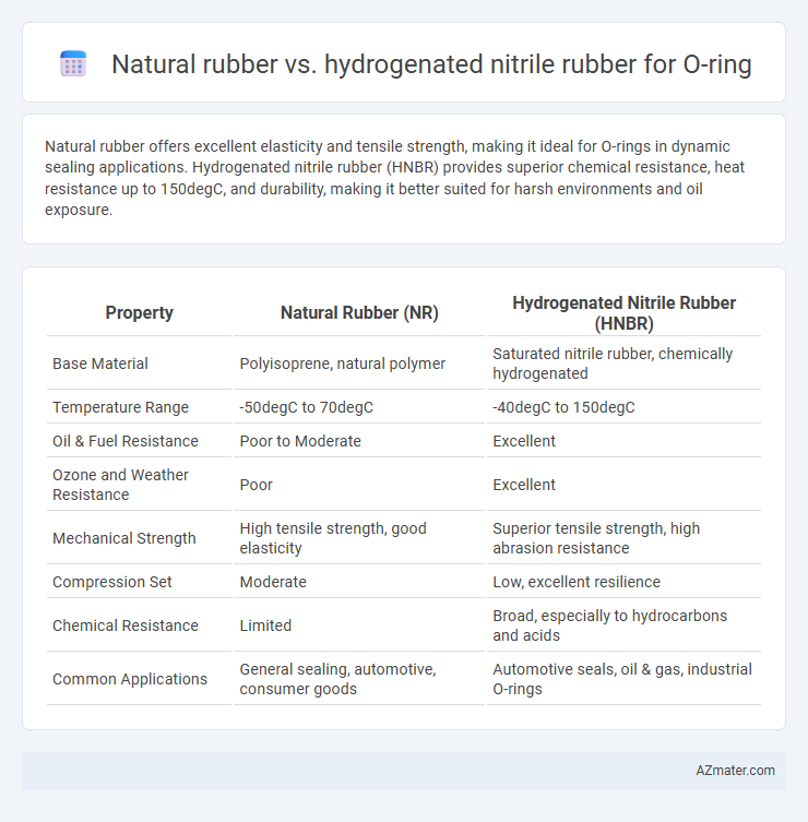 Natural rubber vs. hydrogenated nitrile rubber for O-ring - What is The Difference?