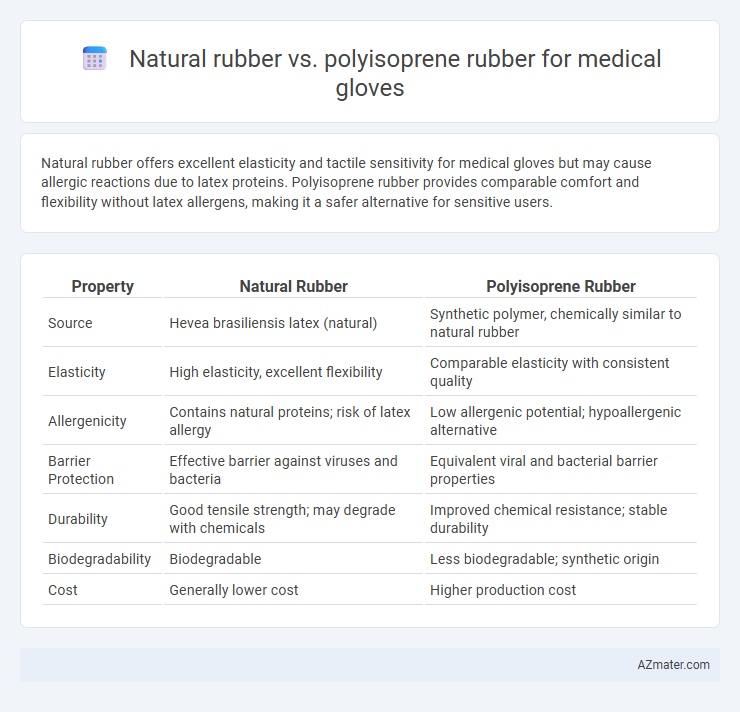 Natural rubber vs. polyisoprene rubber for medical gloves - What is The Difference?