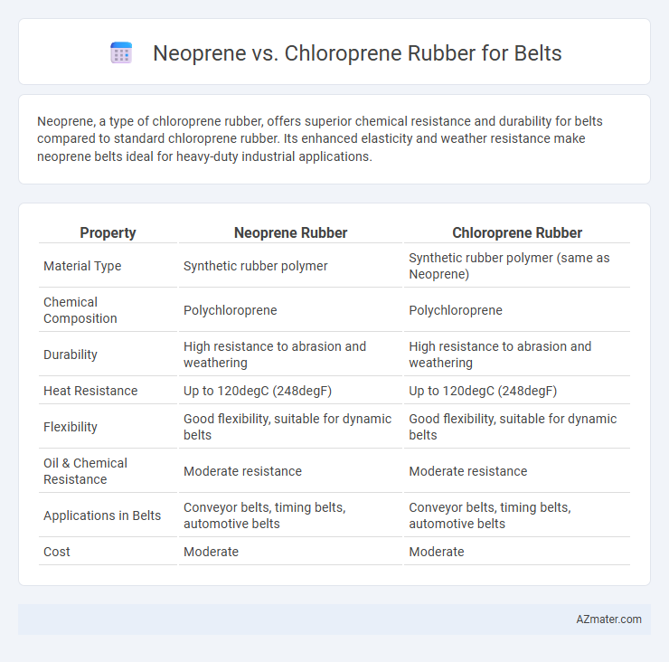 Neoprene vs. Chloroprene Rubber for Belts - What is The Difference?