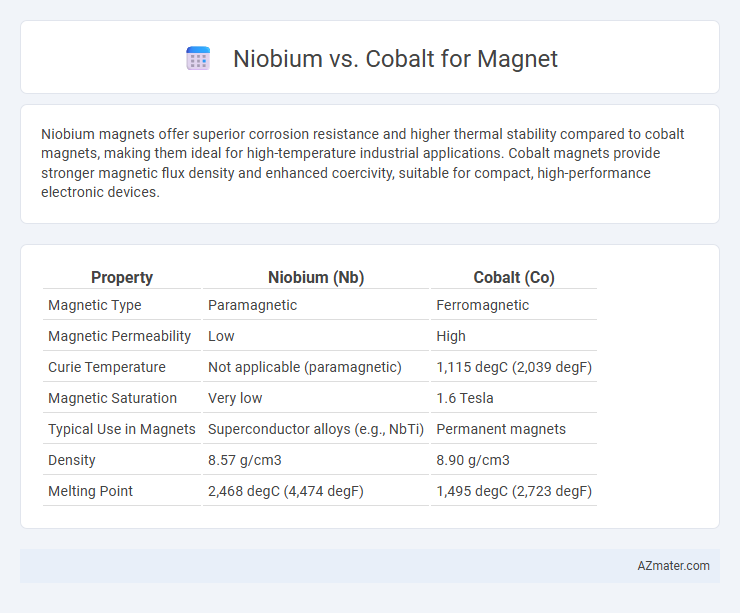 Niobium vs. Cobalt for Magnet - What is The Difference?
