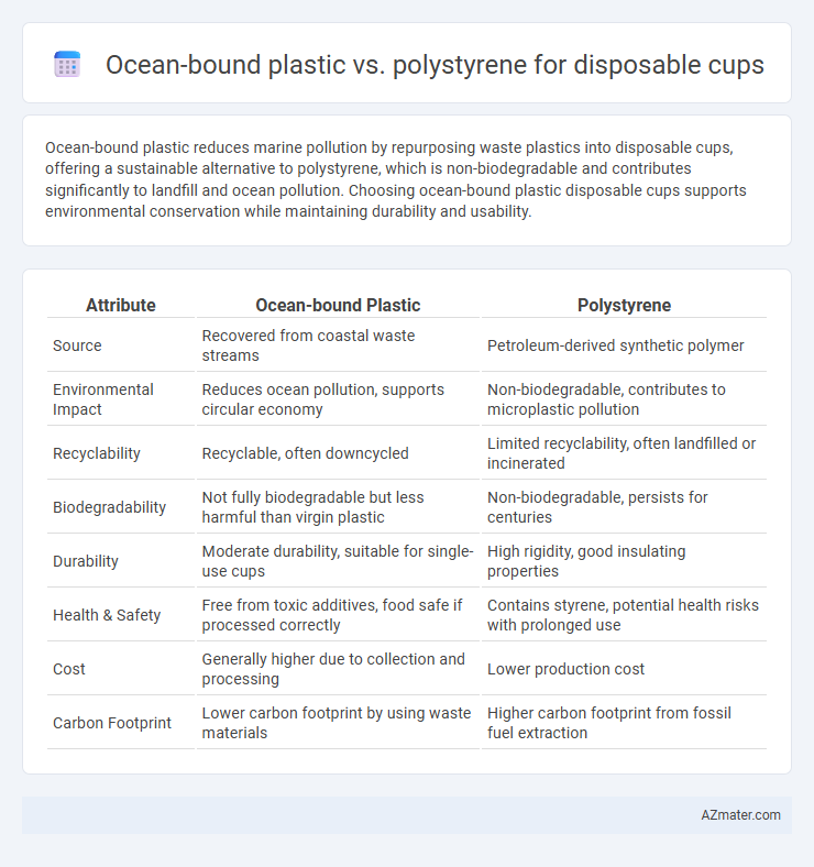 Ocean-bound plastic vs. polystyrene for disposable cups - What is The Difference?