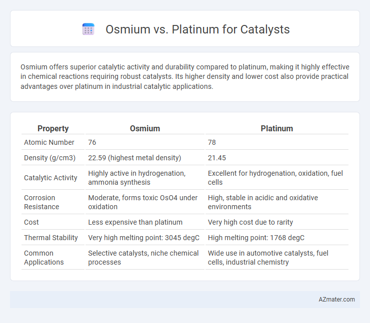 Osmium vs. Platinum for Catalysts - What is The Difference?
