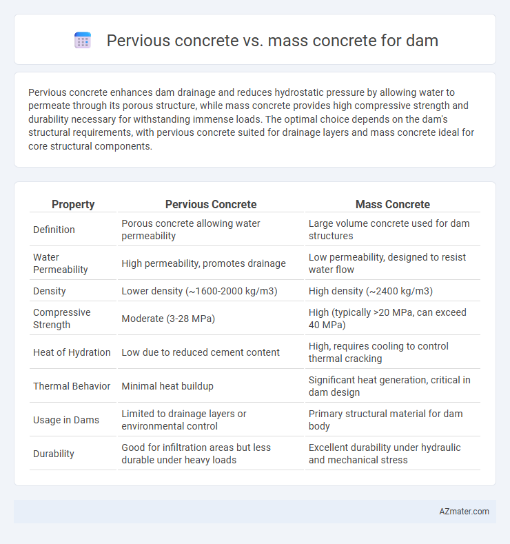 Pervious concrete vs. mass concrete for dam - What is The Difference?