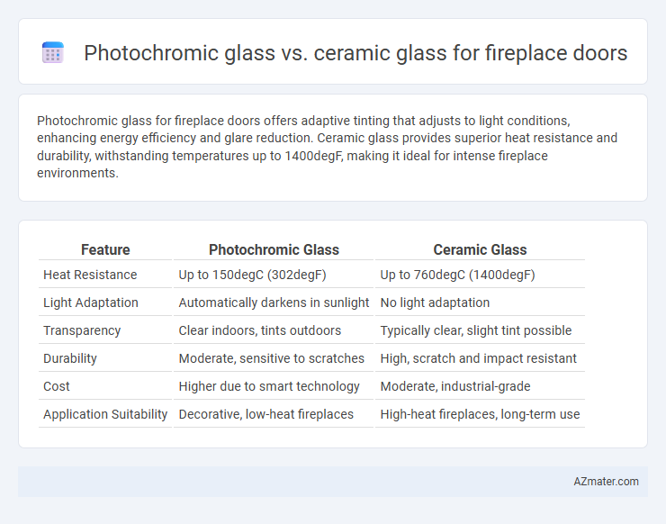 Photochromic glass vs. ceramic glass for fireplace doors - What is The Difference?