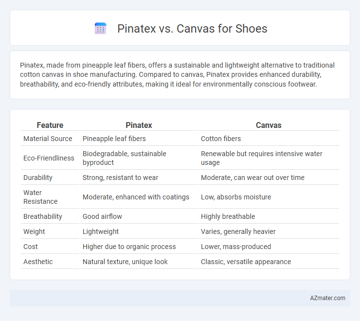 Pinatex vs. Canvas for Shoes - What is The Difference?