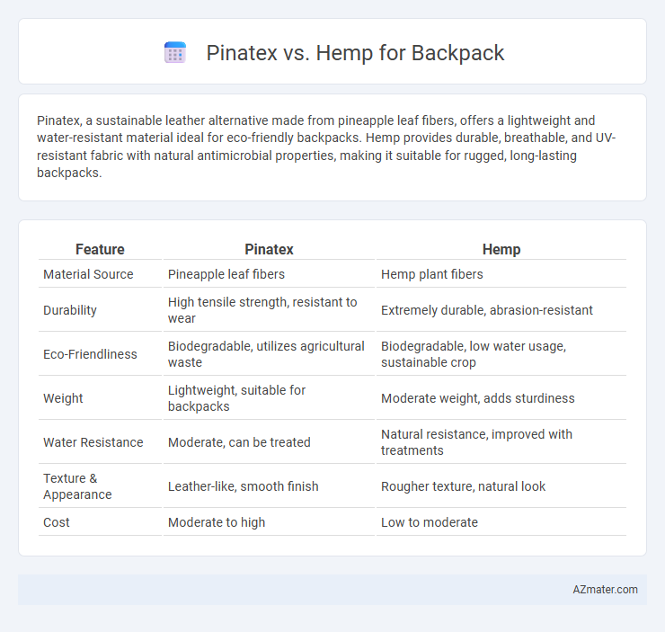 Pinatex vs. Hemp for Backpack - What is The Difference?