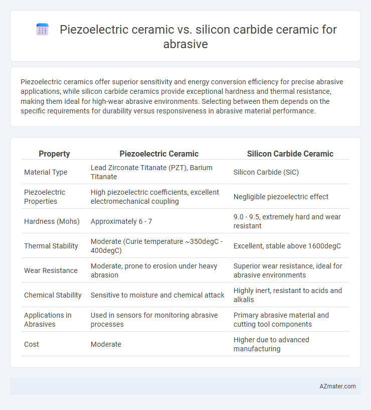 Piezoelectric ceramic vs. silicon carbide ceramic for abrasive - What is The Difference?