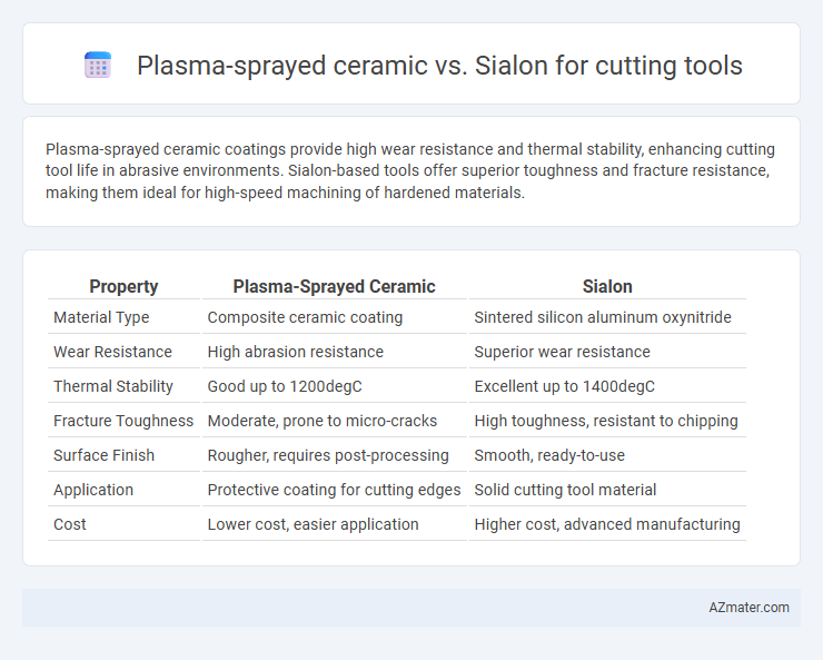 Plasma-sprayed ceramic vs. Sialon for cutting tools - What is The Difference?