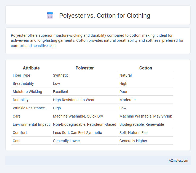 Polyester vs. Cotton for Clothing - What is The Difference?