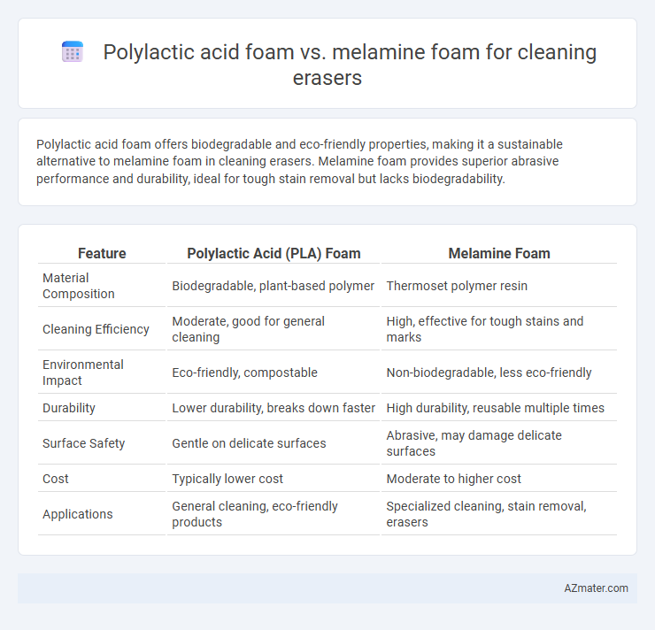 Polylactic acid foam vs. melamine foam for cleaning erasers - What is The Difference?