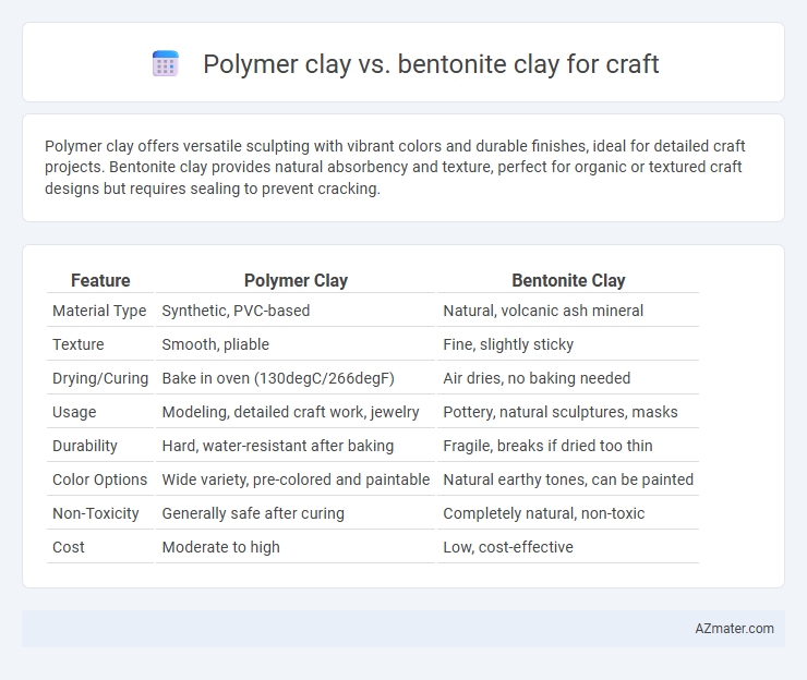 Polymer clay vs. bentonite clay for craft - What is The Difference?