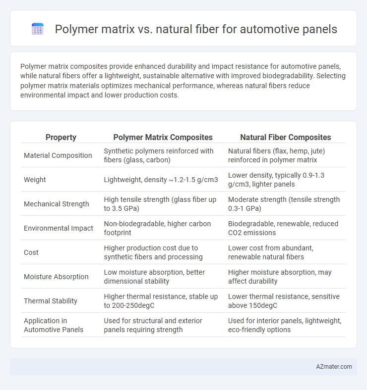 Polymer matrix vs. natural fiber for automotive panels - What is The Difference?